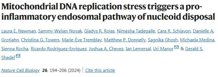 線粒體DNA復(fù)制應(yīng)激觸發(fā)類核處置的促炎內(nèi)體途徑