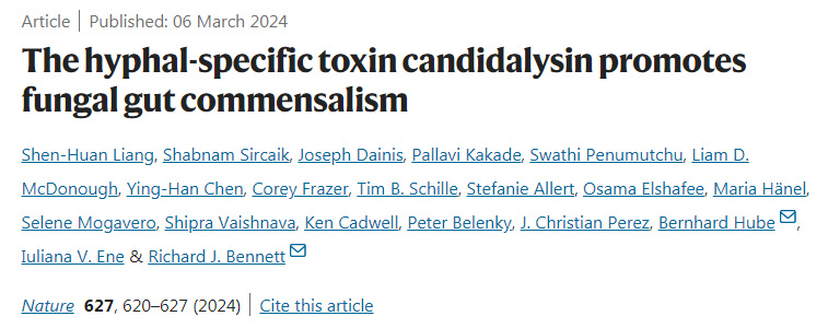 菌絲特異性毒素念珠菌素促進(jìn)真菌腸道共生
