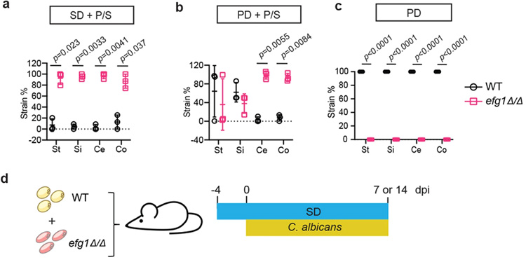 來(lái)自不同白色念珠菌菌株背景的WT和酵母鎖定的efg1Δ/Δ細(xì)胞的適應(yīng)性比較