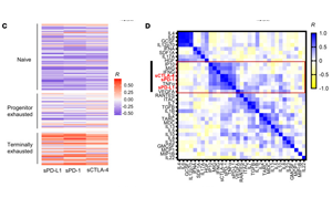 血液中可溶性免疫檢查點(diǎn)因子作為ICI癌癥免疫治療和評估T細(xì)胞衰竭治療效果的潛在生物標(biāo)志物
