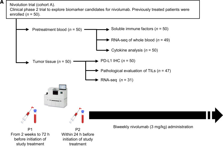 研究中包括的患者隊(duì)列和分析概述