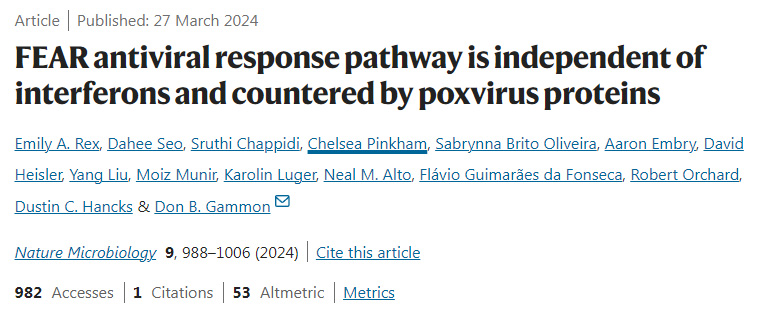 FEAR抗病毒反應(yīng)途徑獨立于干擾素，并由痘病毒蛋白對抗