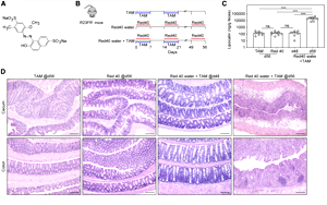 食品中廣泛使用的誘惑紅和落日黃，會(huì)誘導(dǎo)和加速結(jié)腸炎發(fā)展！