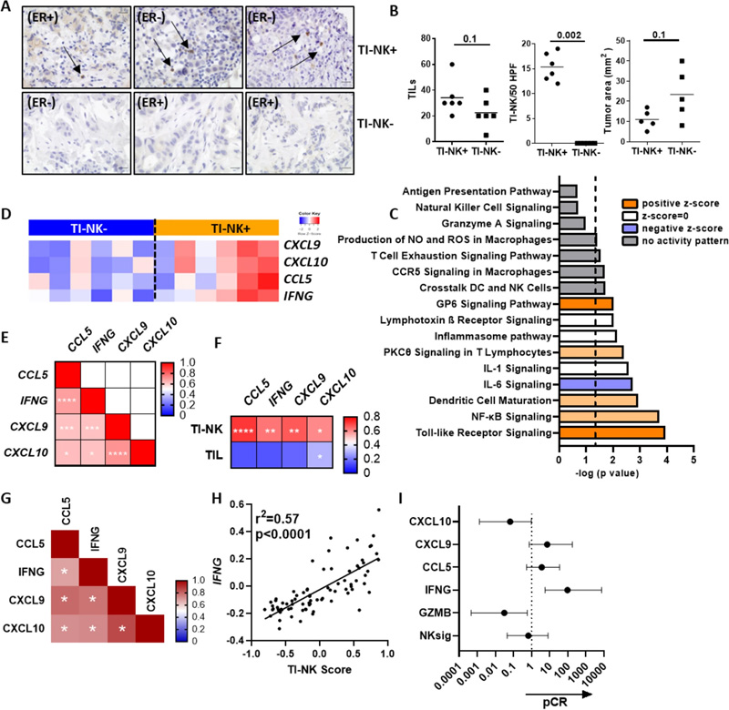 CCL5/IFNG-CXCL9/10軸、TI-NK細(xì)胞標(biāo)記和抗HER2抗體新型輔助治療的反應(yīng)相關(guān)性