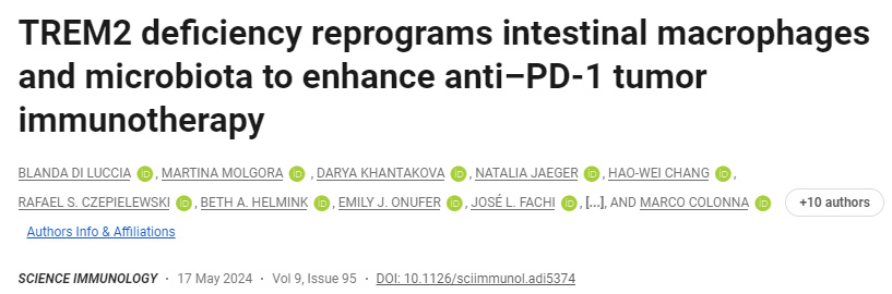 TREM2缺乏重新編程腸道巨噬細(xì)胞和微生物群以增強抗PD-1腫瘤免疫療法