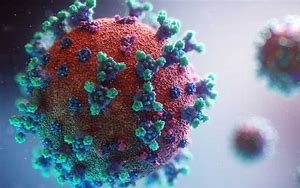 5天治愈90%重癥？減少70%新冠病毒感染？治療新冠特效藥怎么區(qū)分