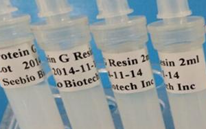 西寶生物 rProtein G SeePUR重組蛋白G親和層析預(yù)裝柱/填料系列產(chǎn)品-用于抗體純化！