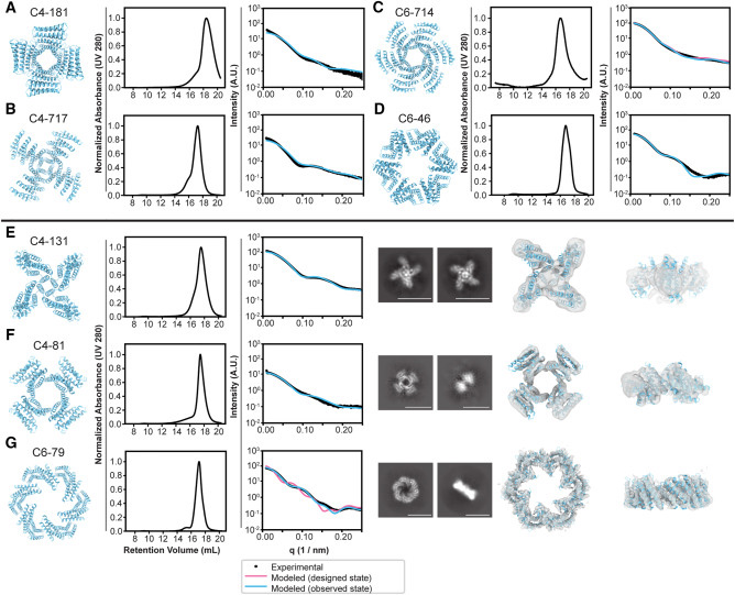 設(shè)計(jì)的蛋白質(zhì)低聚物的生物物理特性