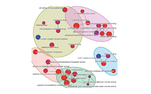 Nature子刊：逆轉肝臟衰老的突破性進展