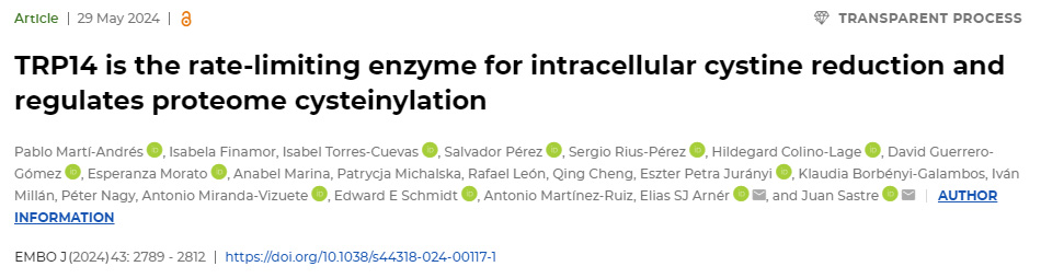 TRP14是細胞內胱氨酸減少的限速酶，并調節(jié)蛋白質組半胱氨酸化