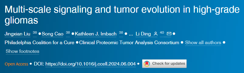 高級別膠質(zhì)瘤的多尺度信號傳導(dǎo)與腫瘤演變