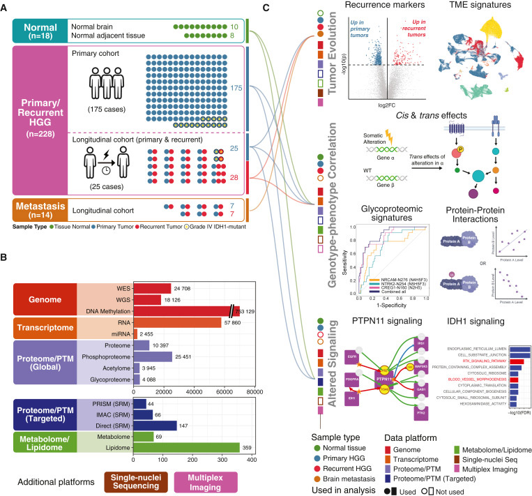 研究對象、技術(shù)平臺和檢測概述