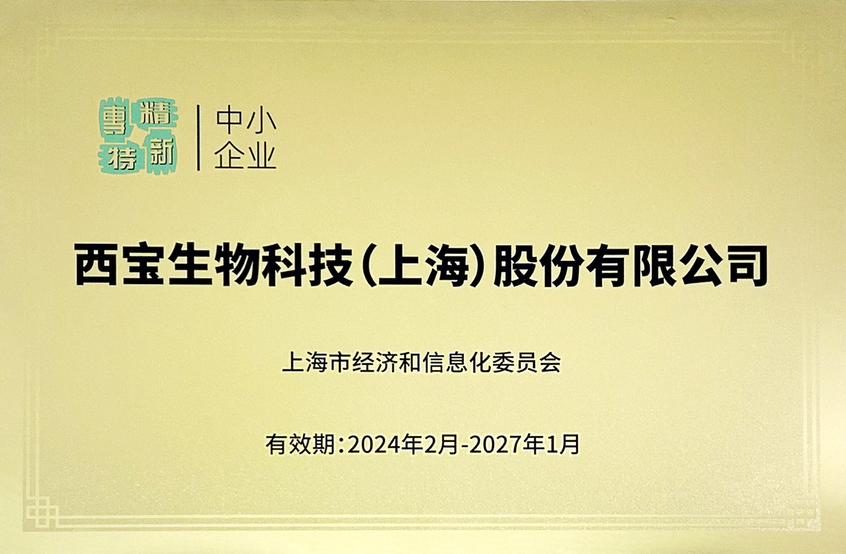 上海市專精特新中小企業(yè)
