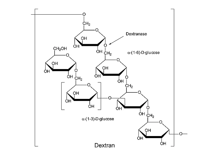 葡聚糖5 葡聚糖5