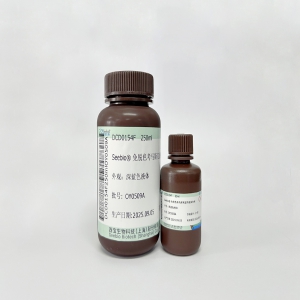 Seebio?免脫色考馬斯亮藍(lán)快速染色液