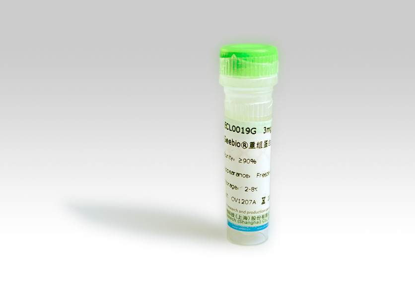 Seebio? 重組蛋白A（rProtein A，ZZZ-HS型）