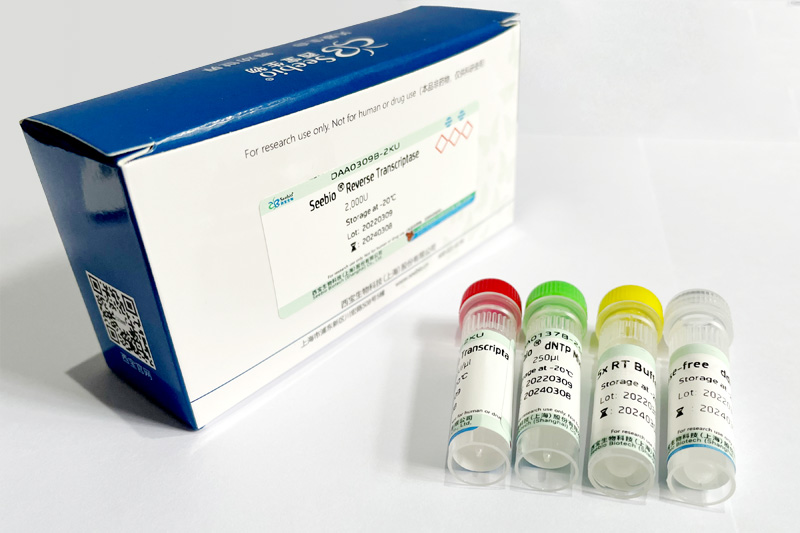 Seebio? sTaq DNA Polymerase (不含dNTP，free Mg2+  Buffer)
