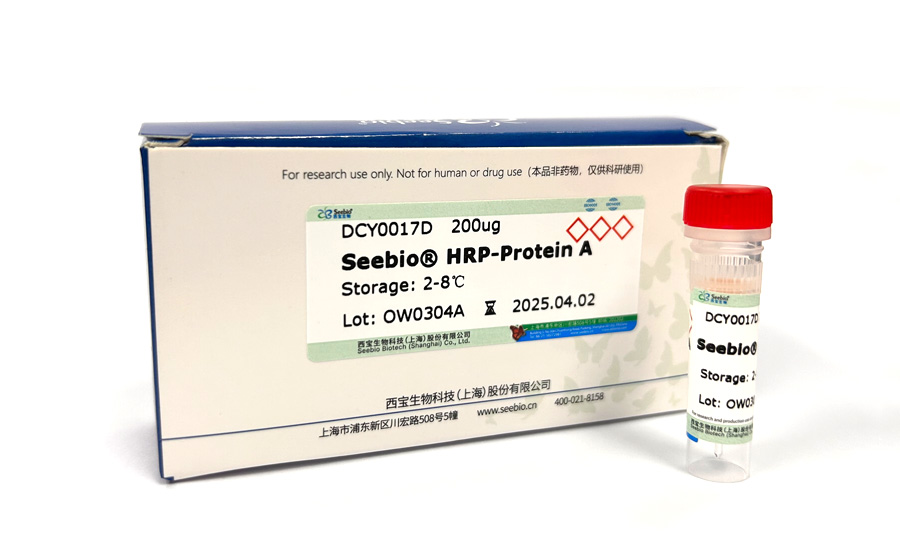 Seebio? 辣根過氧化物酶標(biāo)記重組蛋白A