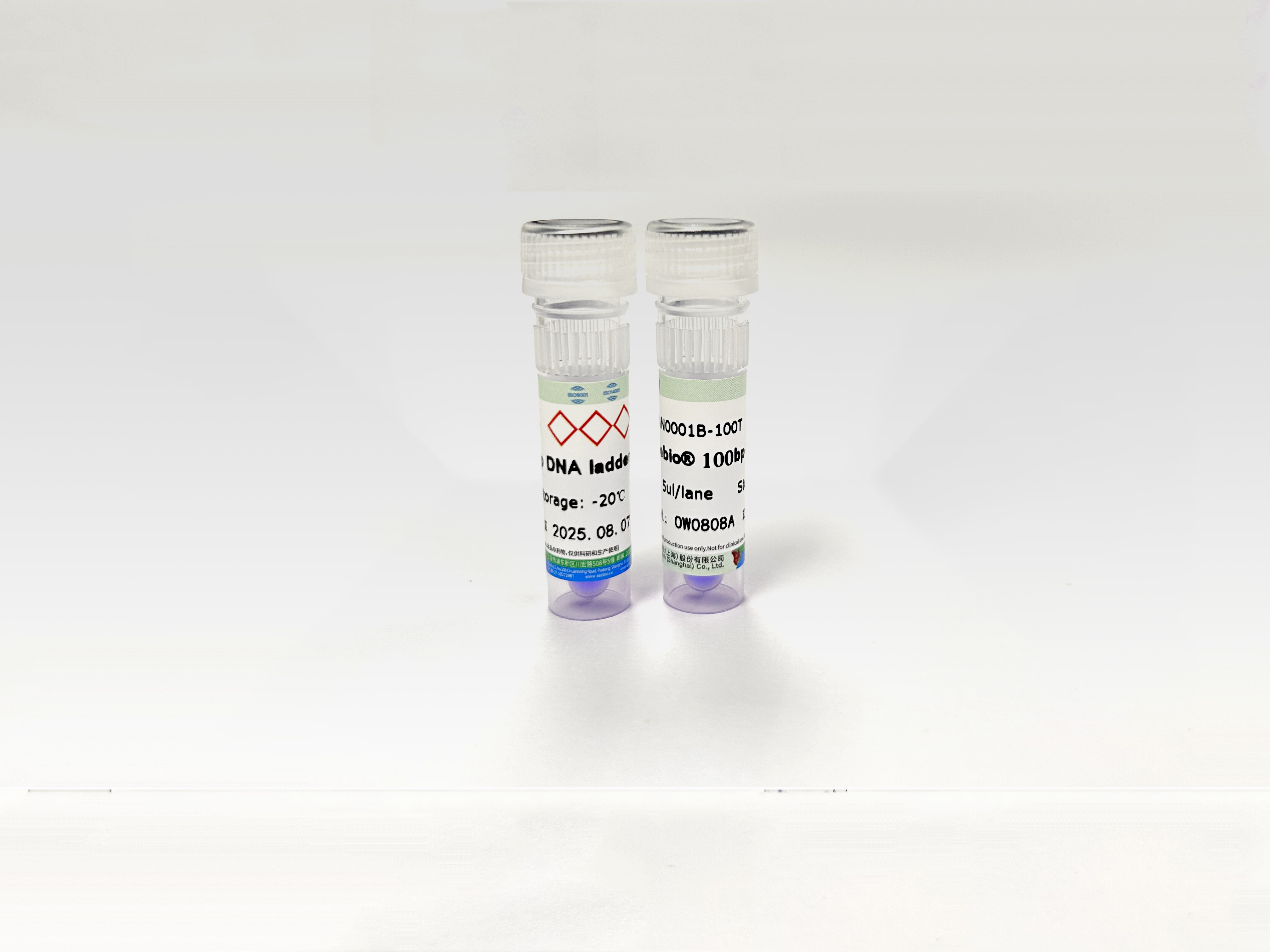 Seebio? 100bp DNA Ladder 