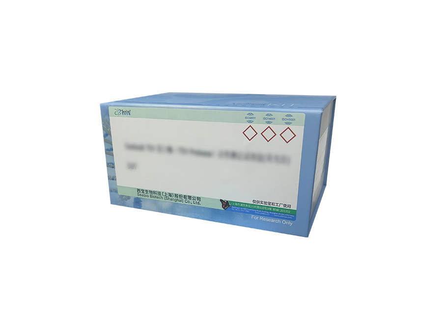 BCA蛋白定量試劑盒