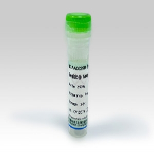 Seebio? Taq DNA Polymerase (Glycerol-free)